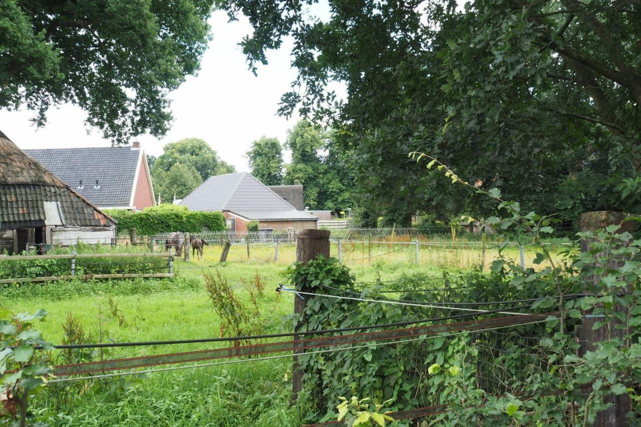Het Centrum Norg Extérieur photo